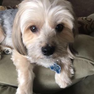 Meet your Posher, Nathan